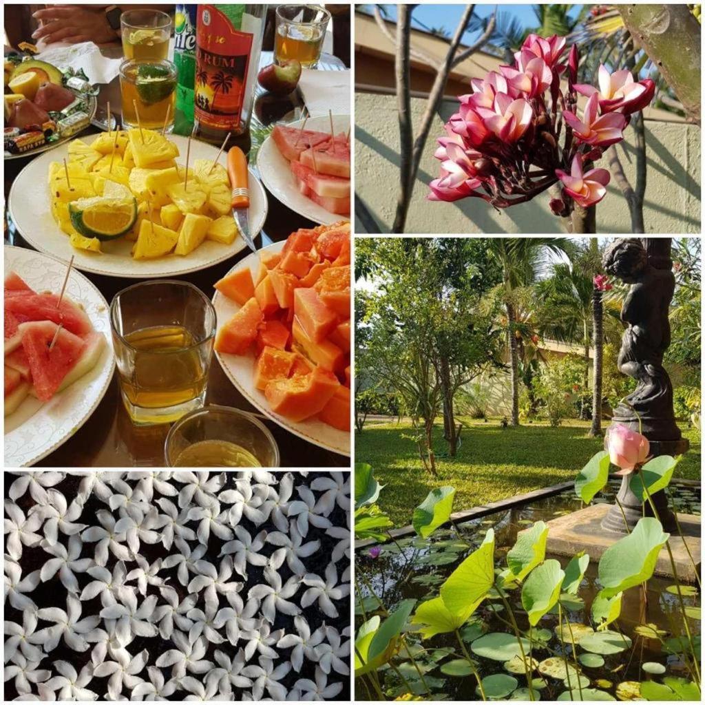 Solomon Beach Hotel Marawila Dış mekan fotoğraf